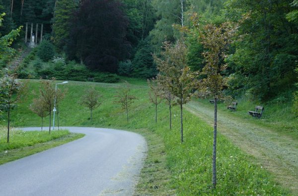Obnovení lesoparku Horeček – Trojanovice