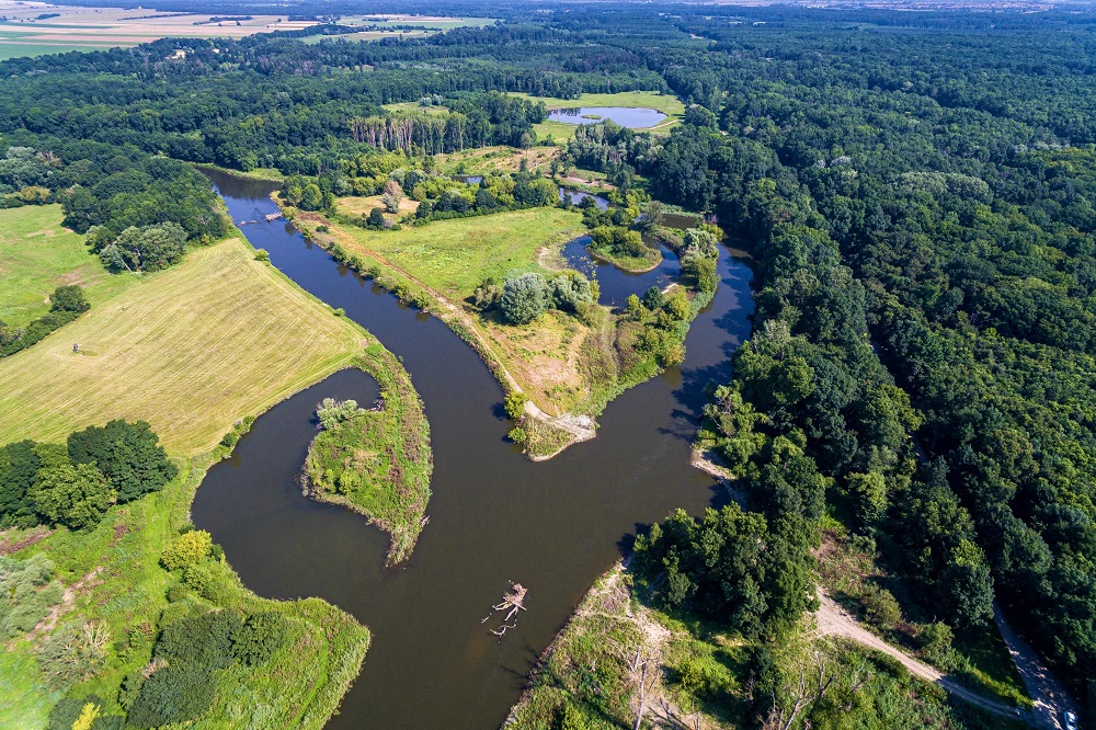Nový prostor pro řeku Dyji_Adapterra_zdroj Povodí Moravy