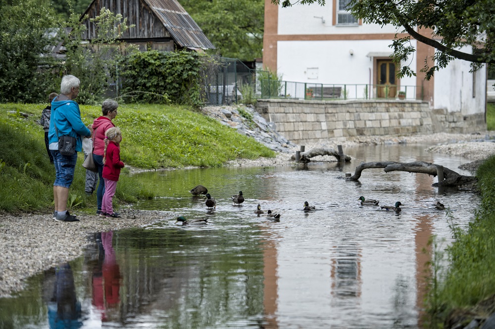 OPŽP_PO4_Revitalizace ramene drobného vodního toku v Chrudimi_5