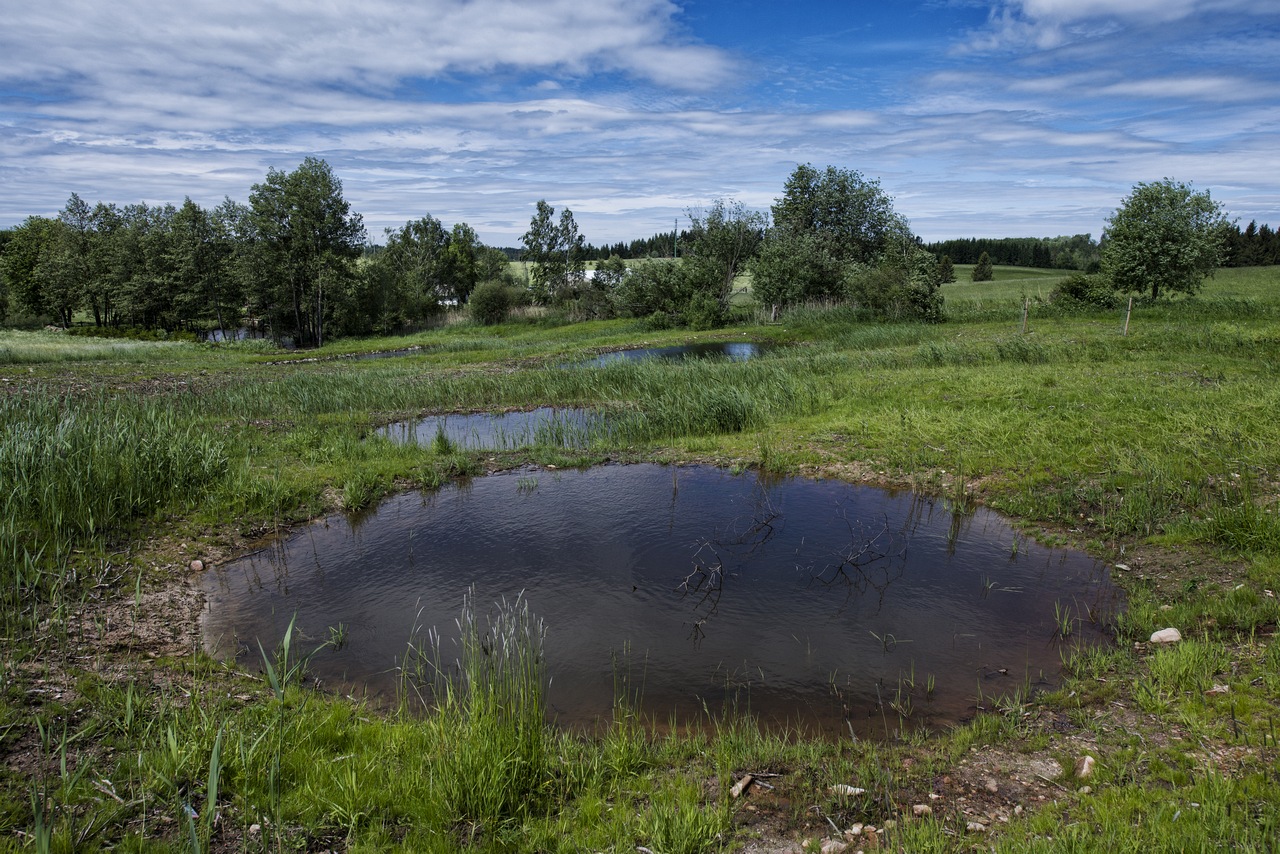 OPŽP 34_PO4_Revitalizace souvlastí Zdobnice_8