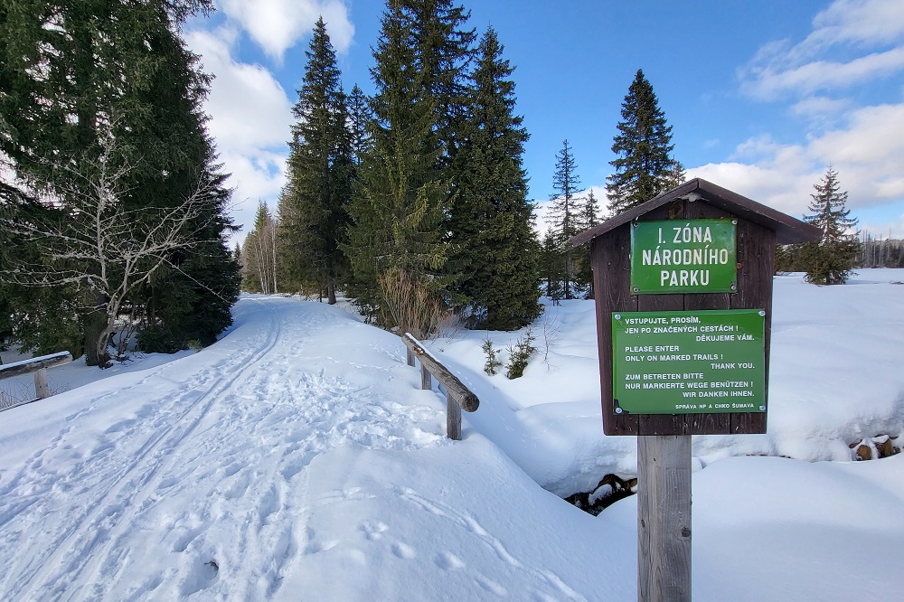 NP Šumava_Modrava_sb